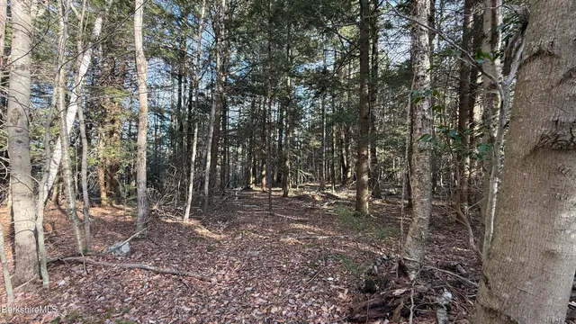 a view of outdoor space with trees