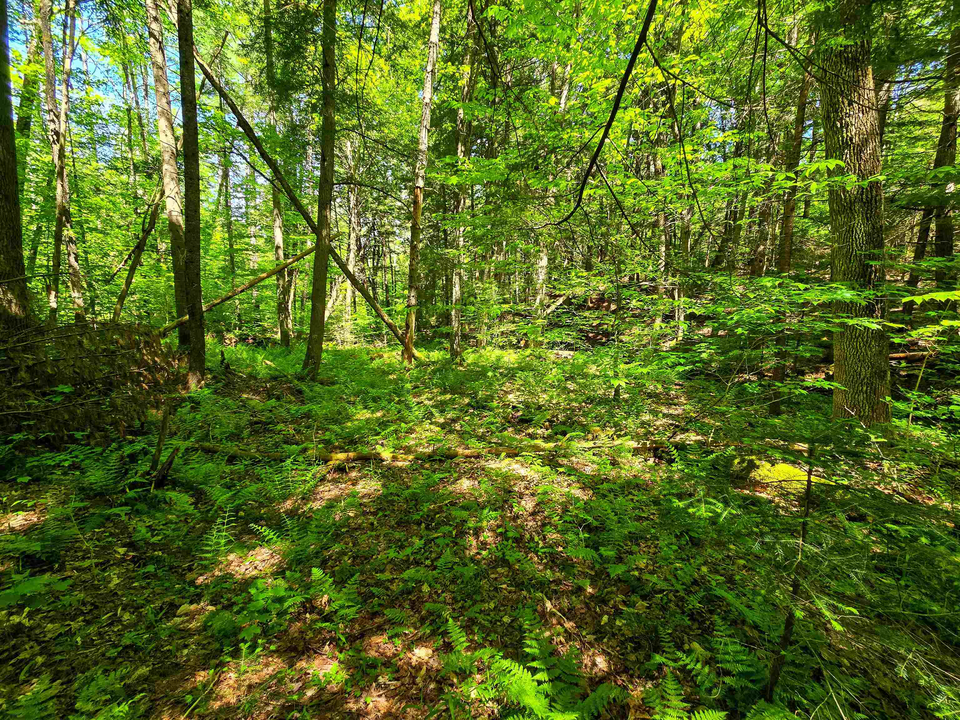 1905 Camp Munn Road Bradford, VT 05033 - Photo 5 of 22