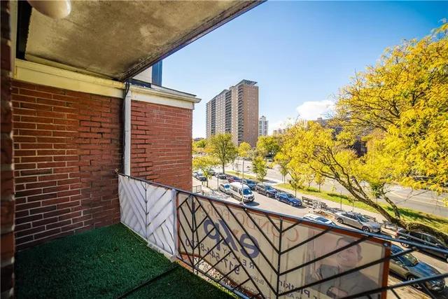 a view of a backyard with plants