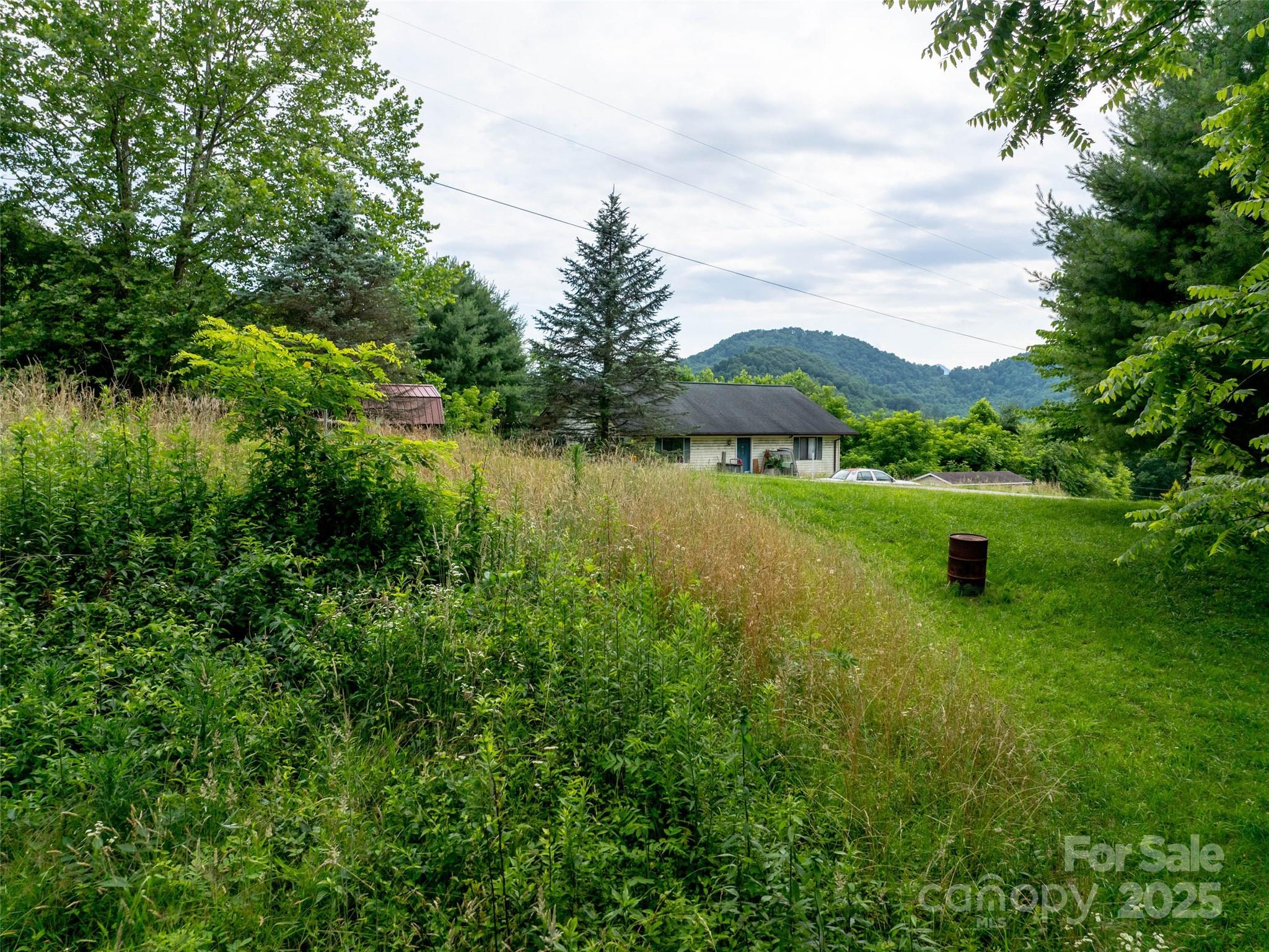 40 Sedgefield Place Clyde, NC 28721 - Photo 8 of 15