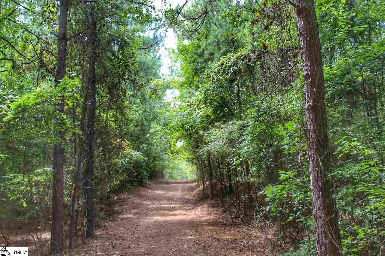 111 Golf Course Road Calhoun Falls, SC 29628 - Photo 3 of 15 Gallery Image 3