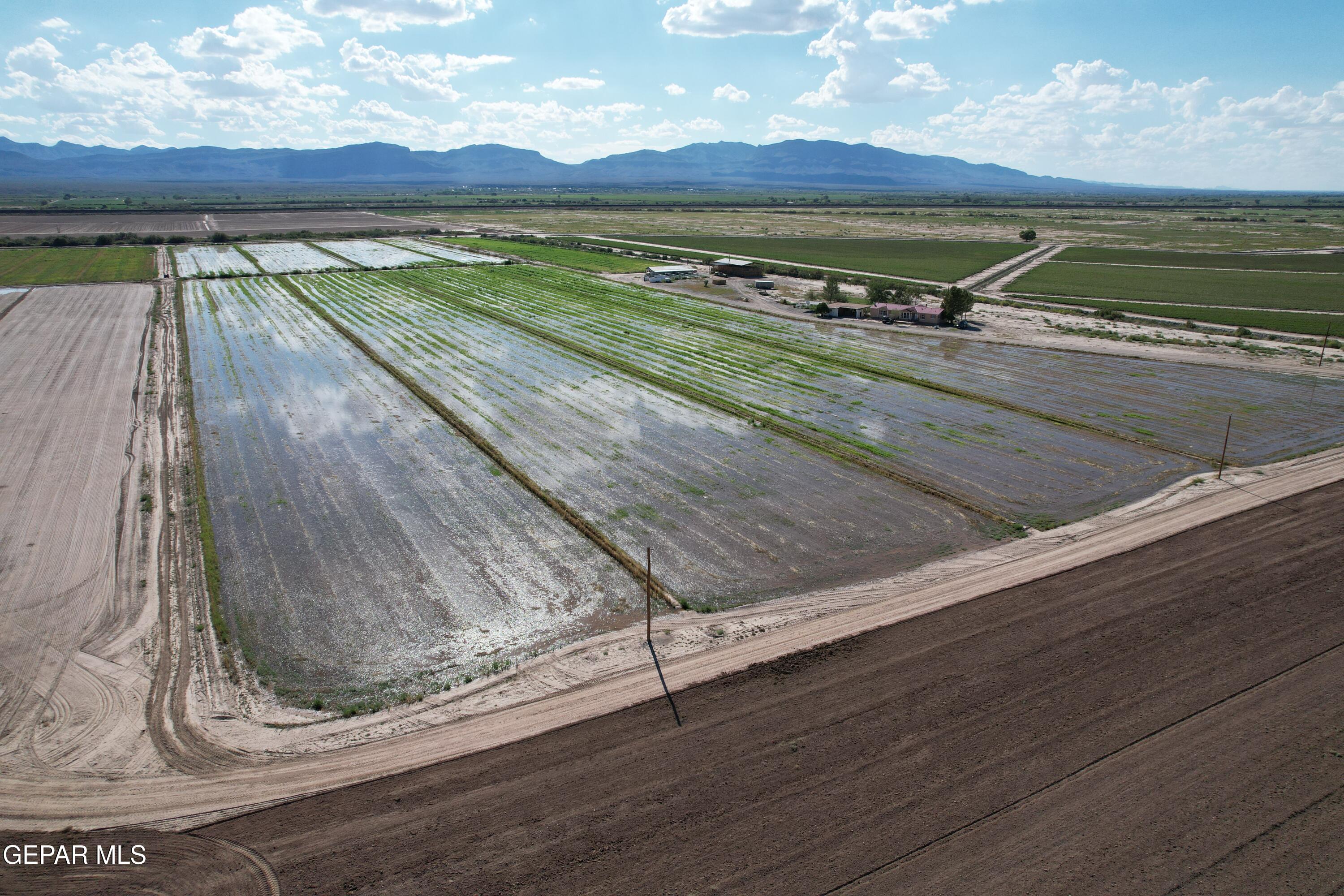 dji_fly_20250923_155232_49_1758815499701