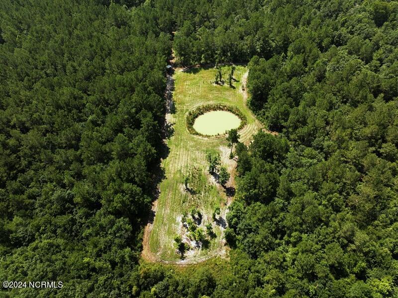 Tbd Swimming Hole Road Delco, NC 28436 - Photo 6 of 21 DJI_20240715114134_0368_D