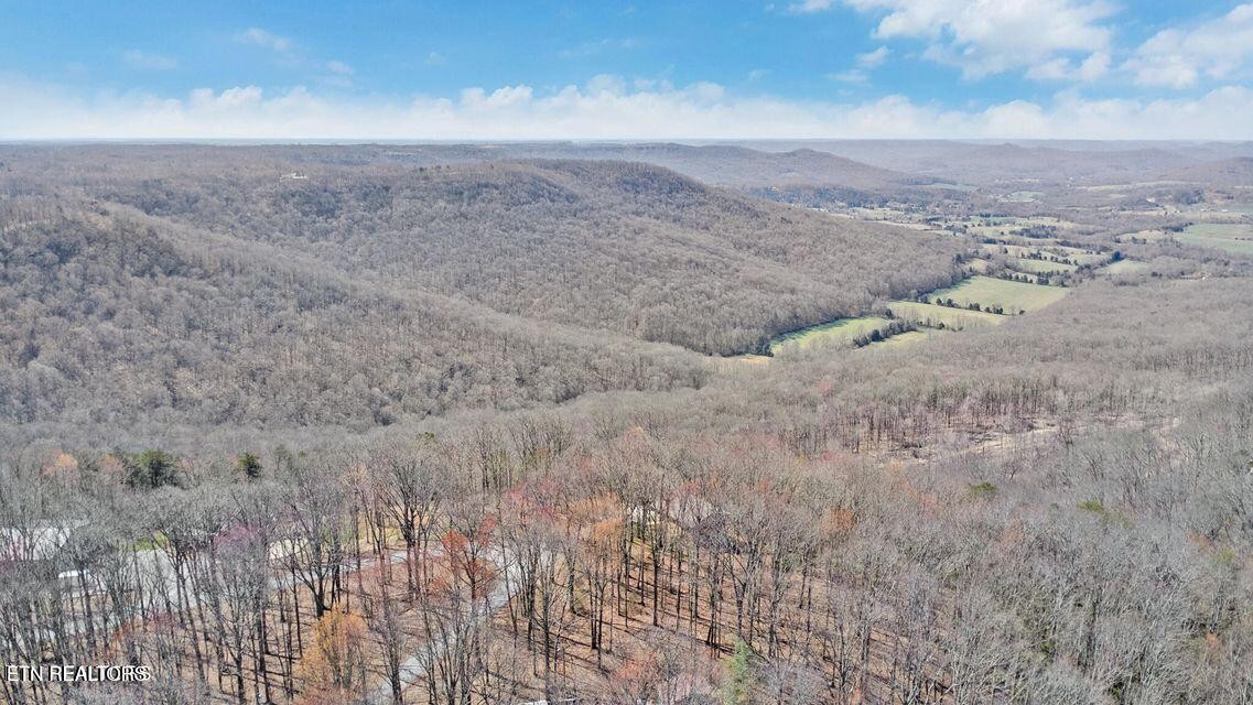 560 Yellow Cliff Estates Road Jamestown, TN 38556 - Photo 26 of 27 Gallery Image 26