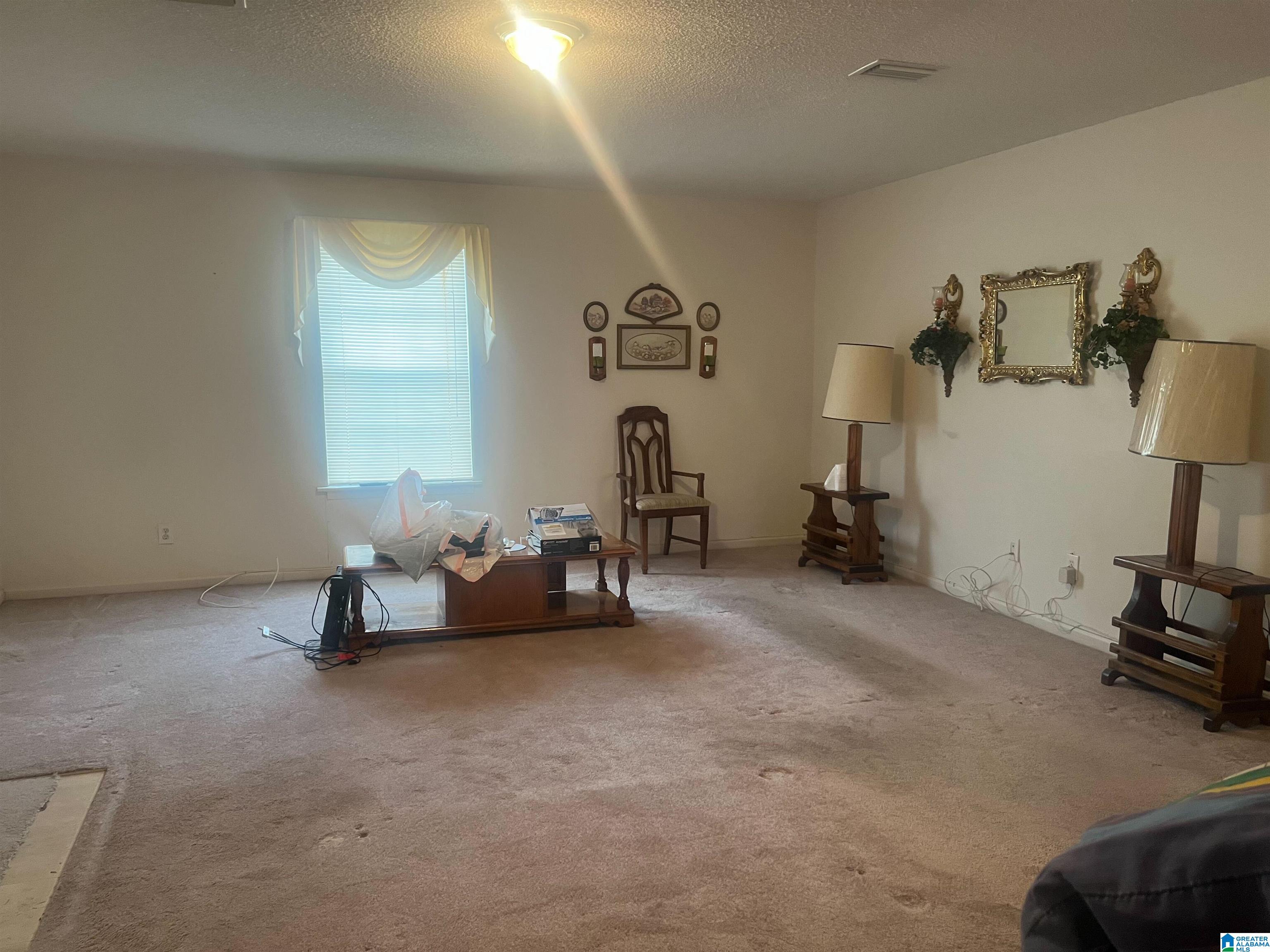 841 St Mary Road Gordon, AL 36343 - Photo 2 of 13