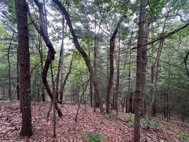 $22,500 | V/l A Lenox Avenue, Pentwater, MI 49449