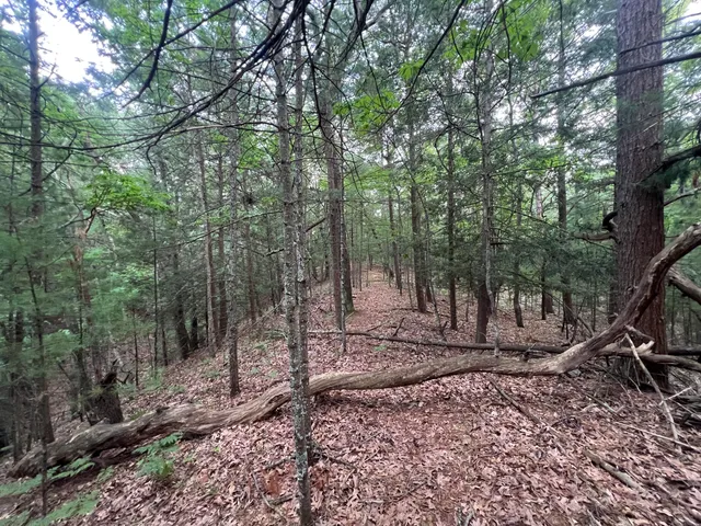 $22,500 | V/l A Lenox Avenue, Pentwater, MI 49449