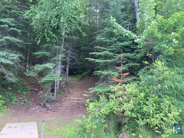 11919 Luna Lake Road Side Lake, MN 55781 - Photo 6 of 23