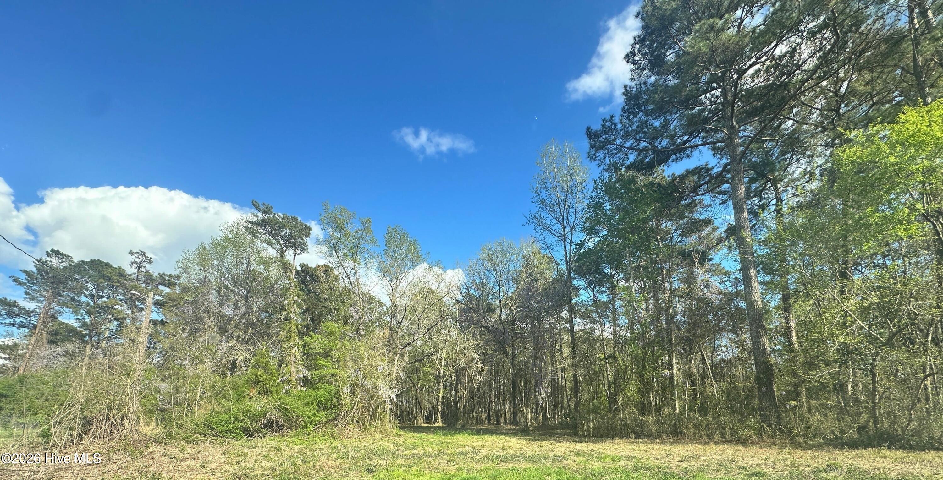 257 Fire Tower Road Richlands, NC 28574 - Photo 2 of 4 IMG_5277