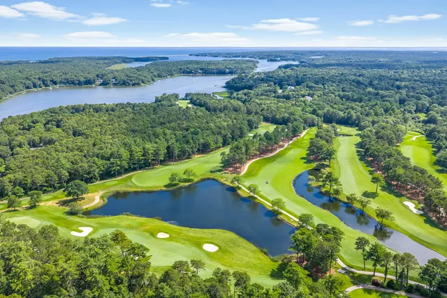 an aerial view of a house with a swimming pool a yard and green space