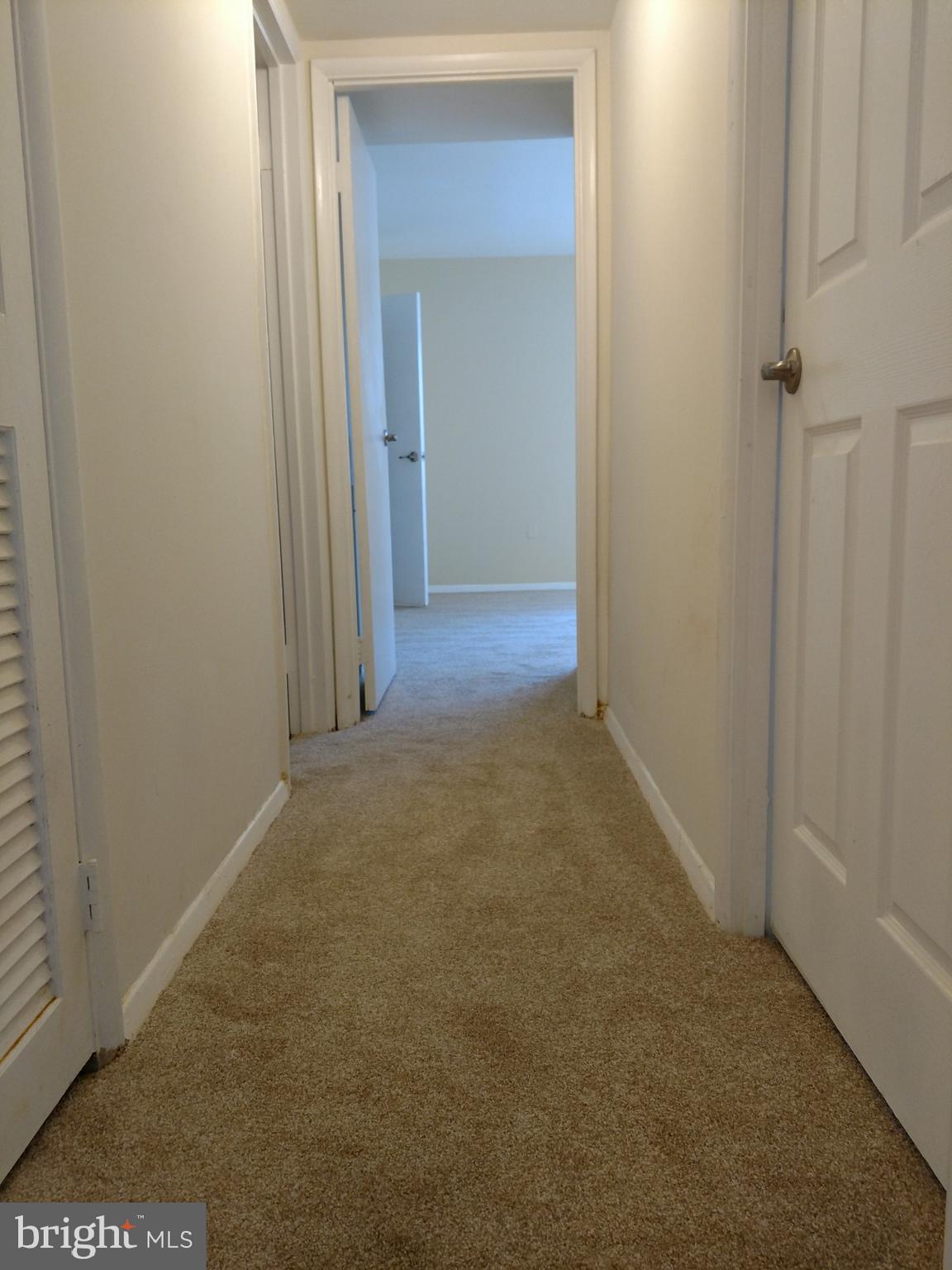 3754 Bel Pre Road, Unit 8 Silver Spring, MD 20906 - Photo 11 of 36 Wide hallway to bedroom, just painted & new carpet