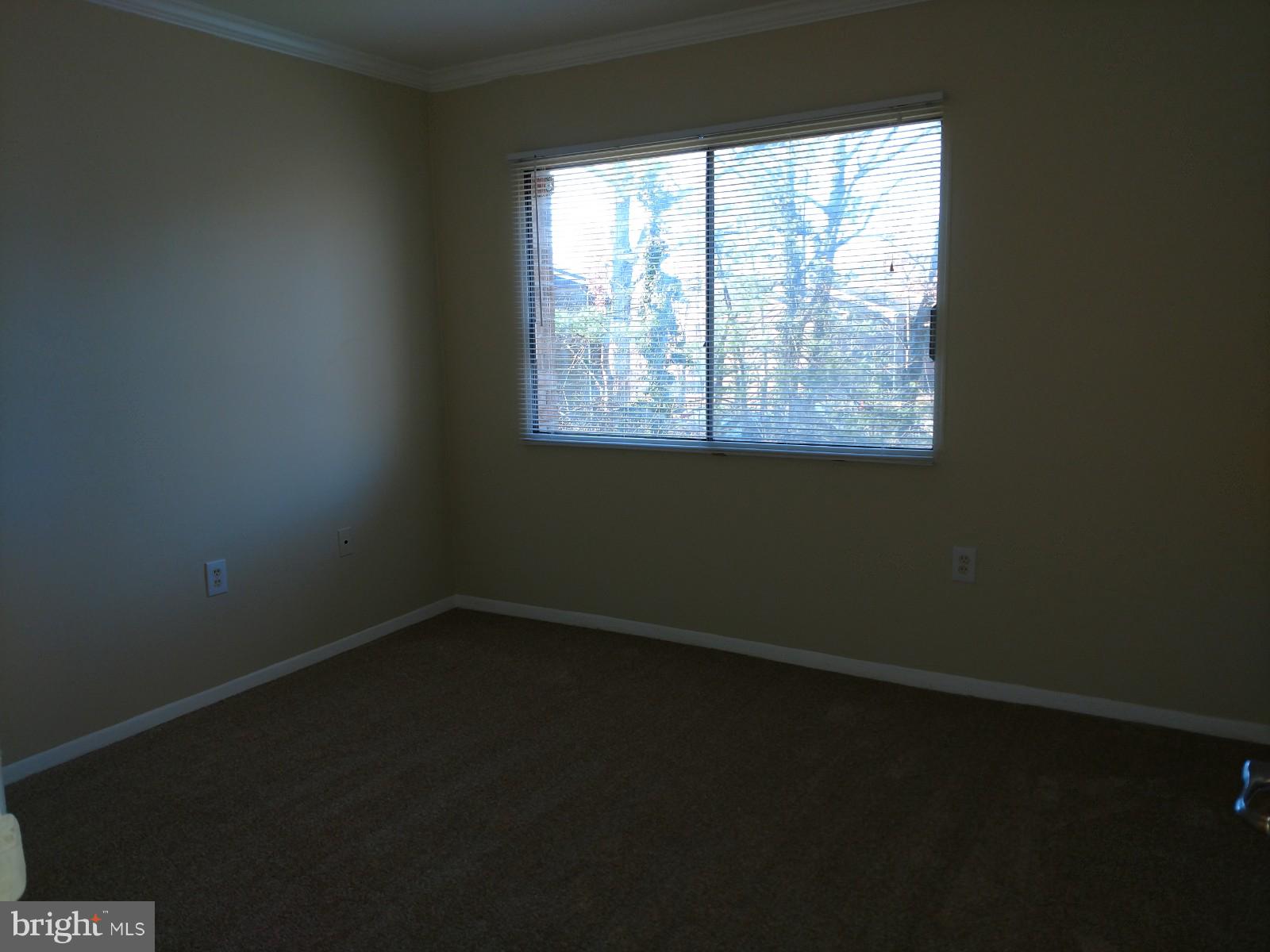 3754 Bel Pre Road, Unit 8 Silver Spring, MD 20906 - Photo 18 of 36 Second bedroom new carpet & fresh paint