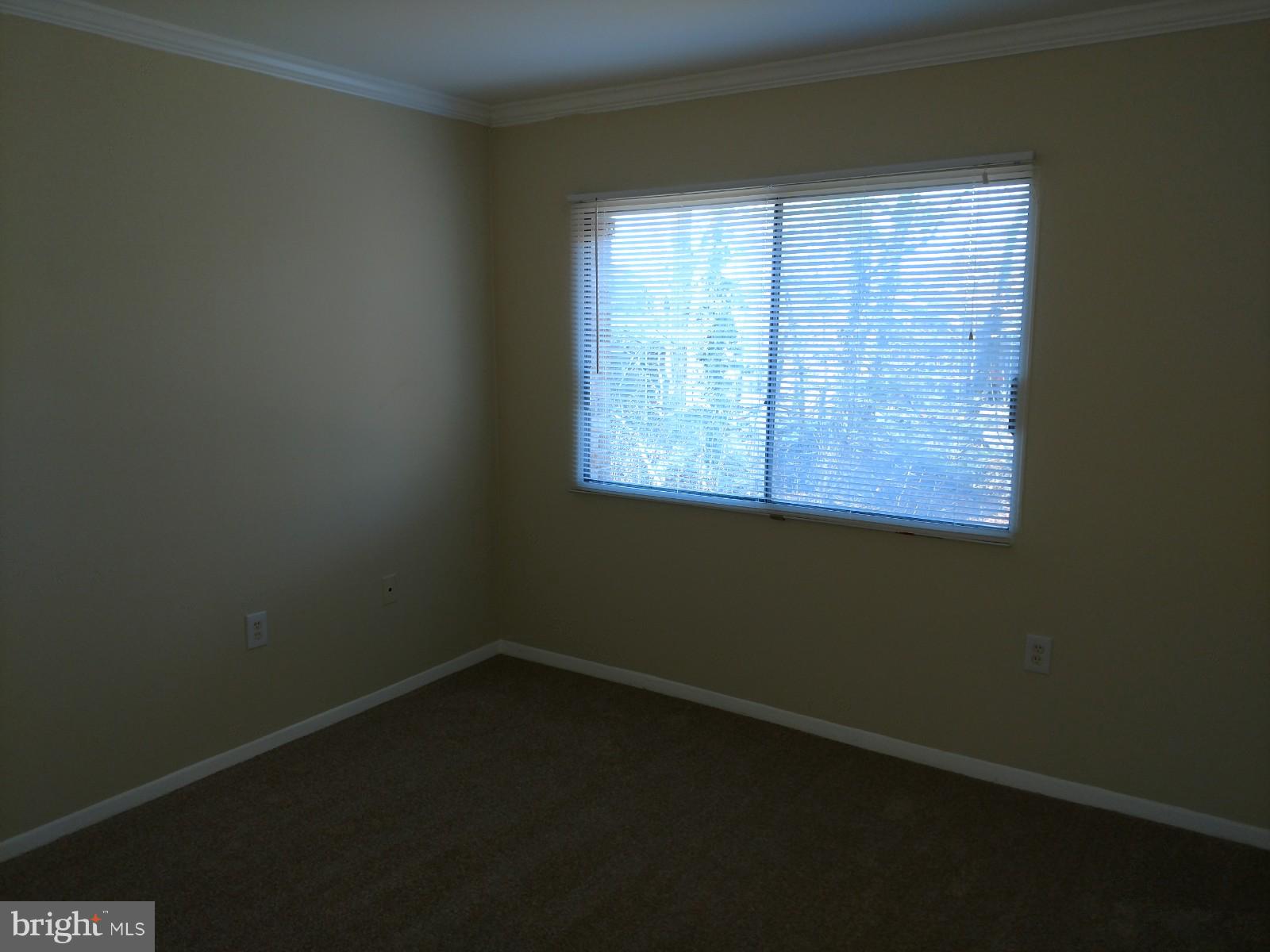 3754 Bel Pre Road, Unit 8 Silver Spring, MD 20906 - Photo 19 of 36 Second bedroom with crown molding