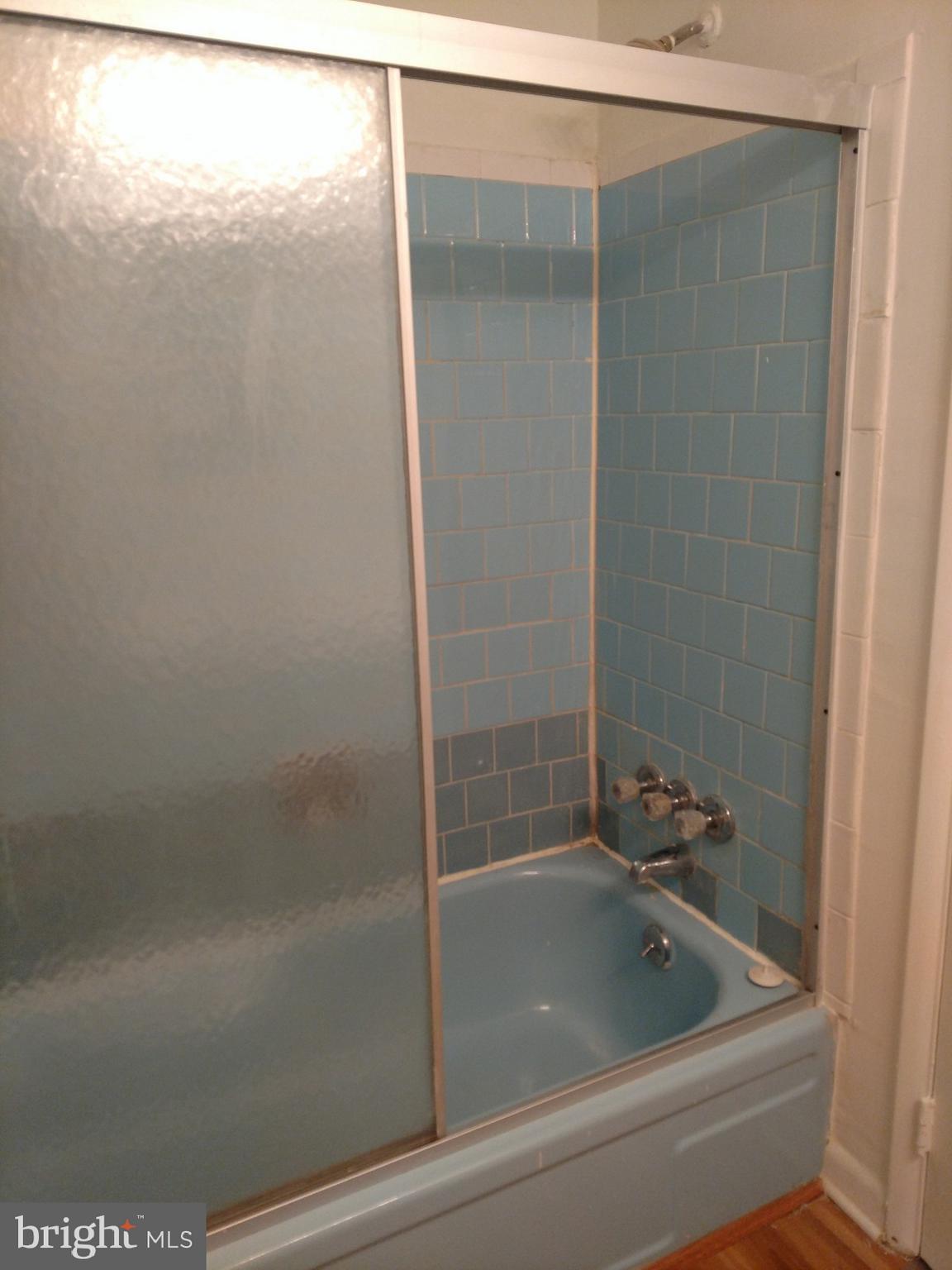 3754 Bel Pre Road, Unit 8 Silver Spring, MD 20906 - Photo 22 of 36 Easy access tub shower
