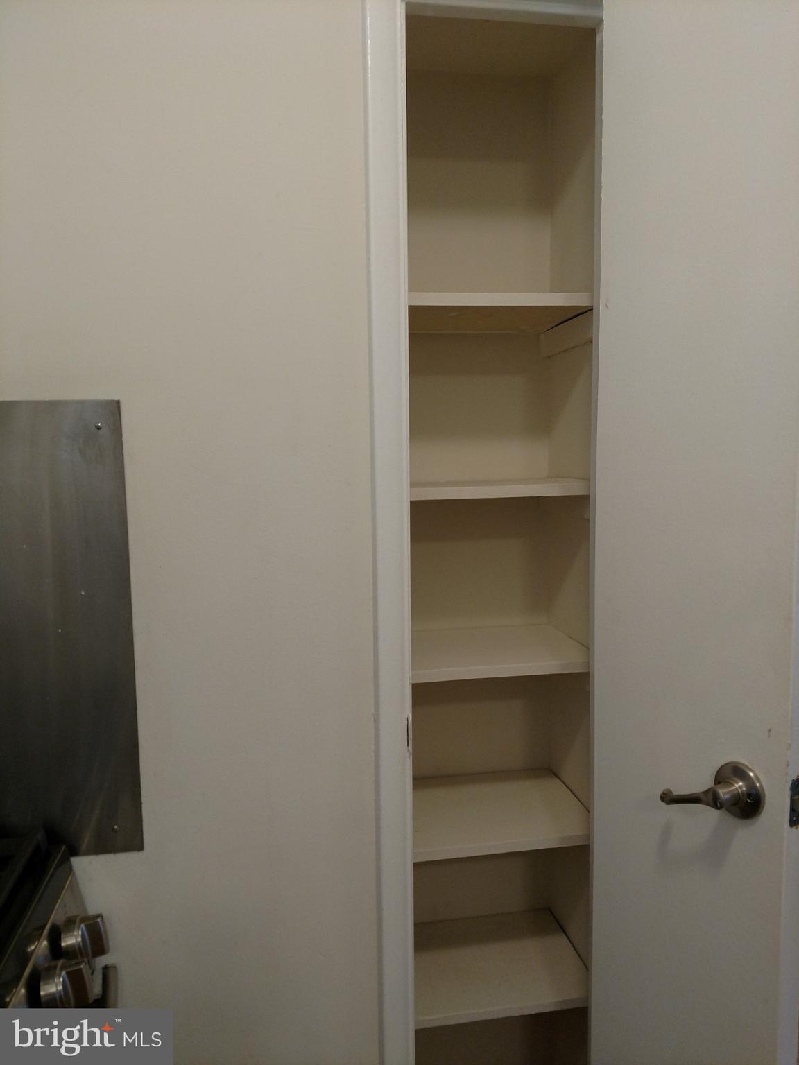 3754 Bel Pre Road, Unit 8 Silver Spring, MD 20906 - Photo 29 of 36 Essential Kitchen pantry freshly painted