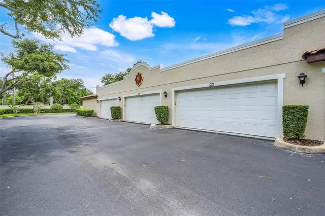a view of backyard and tree