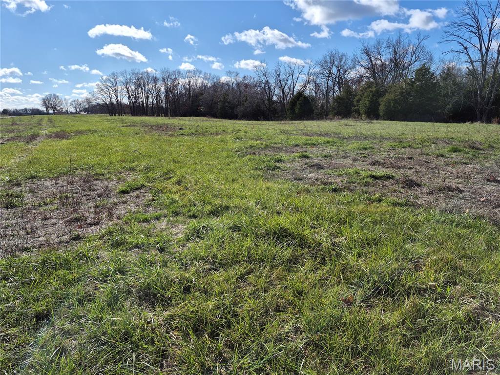0 Logan School Road New Florence, MO 63363 - Photo 9 of 19