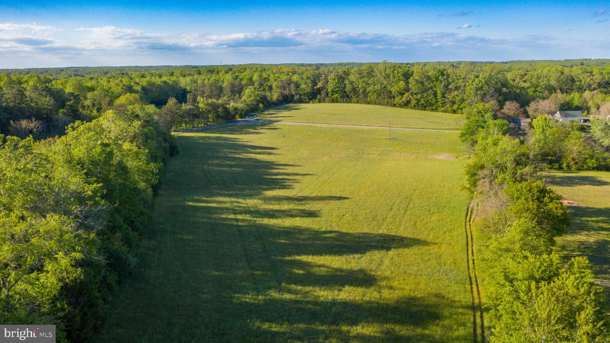 0 Trivette Road Beaverdam, VA 23015 - Photo 6 of 45