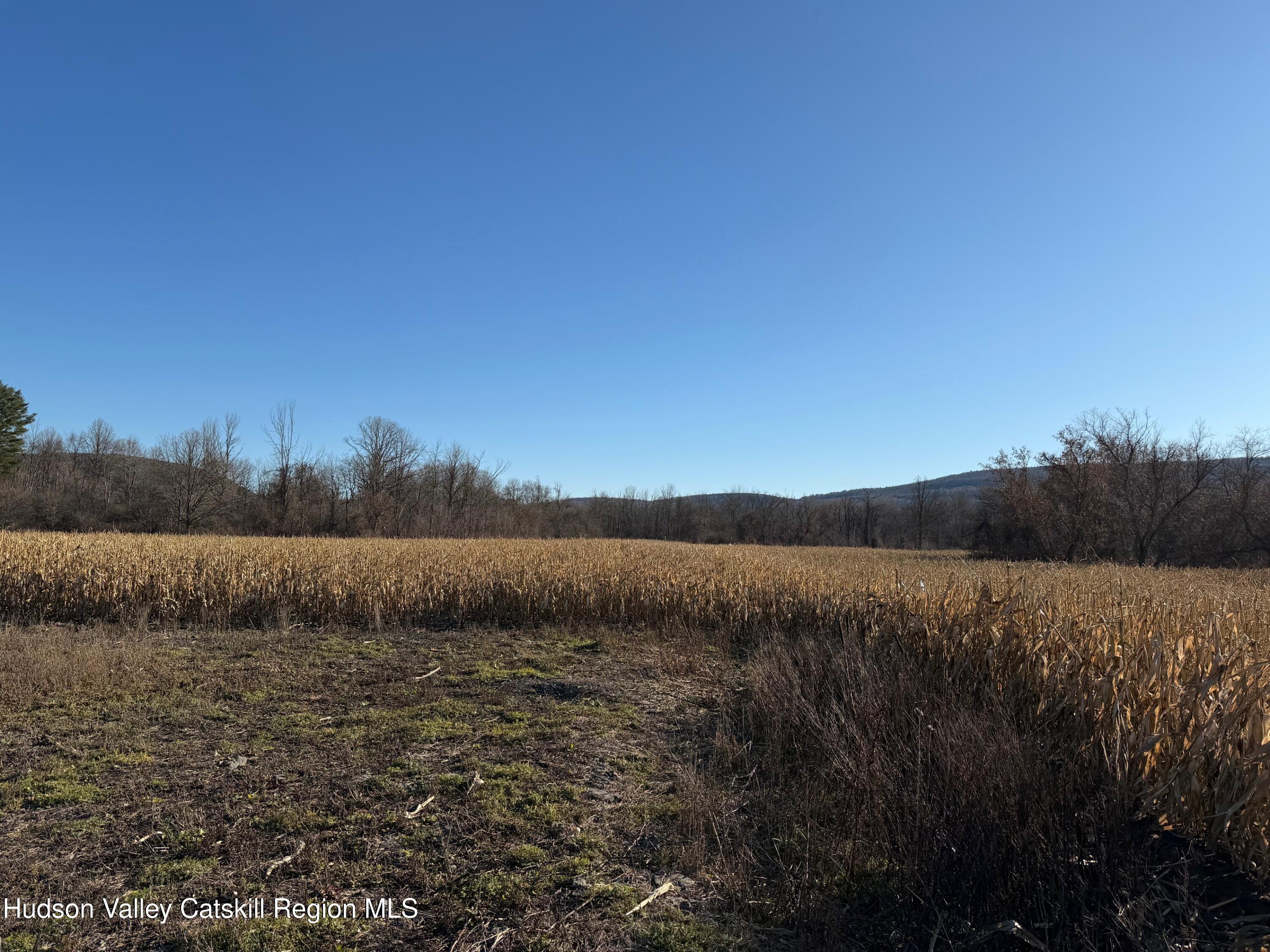 2075 Switzkill Road Berne, NY 12023 - Photo 4 of 7 a view of mountain and lake view