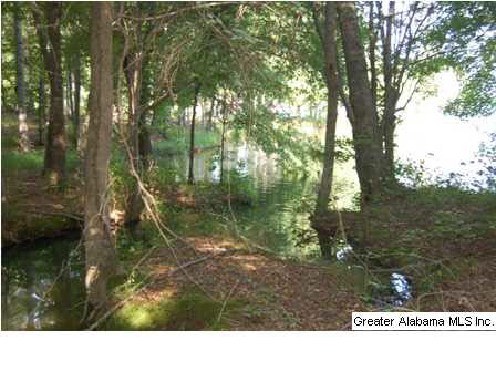 New Harmony Road, Unit 2 Lineville, AL 36266 - Photo 3 of 16