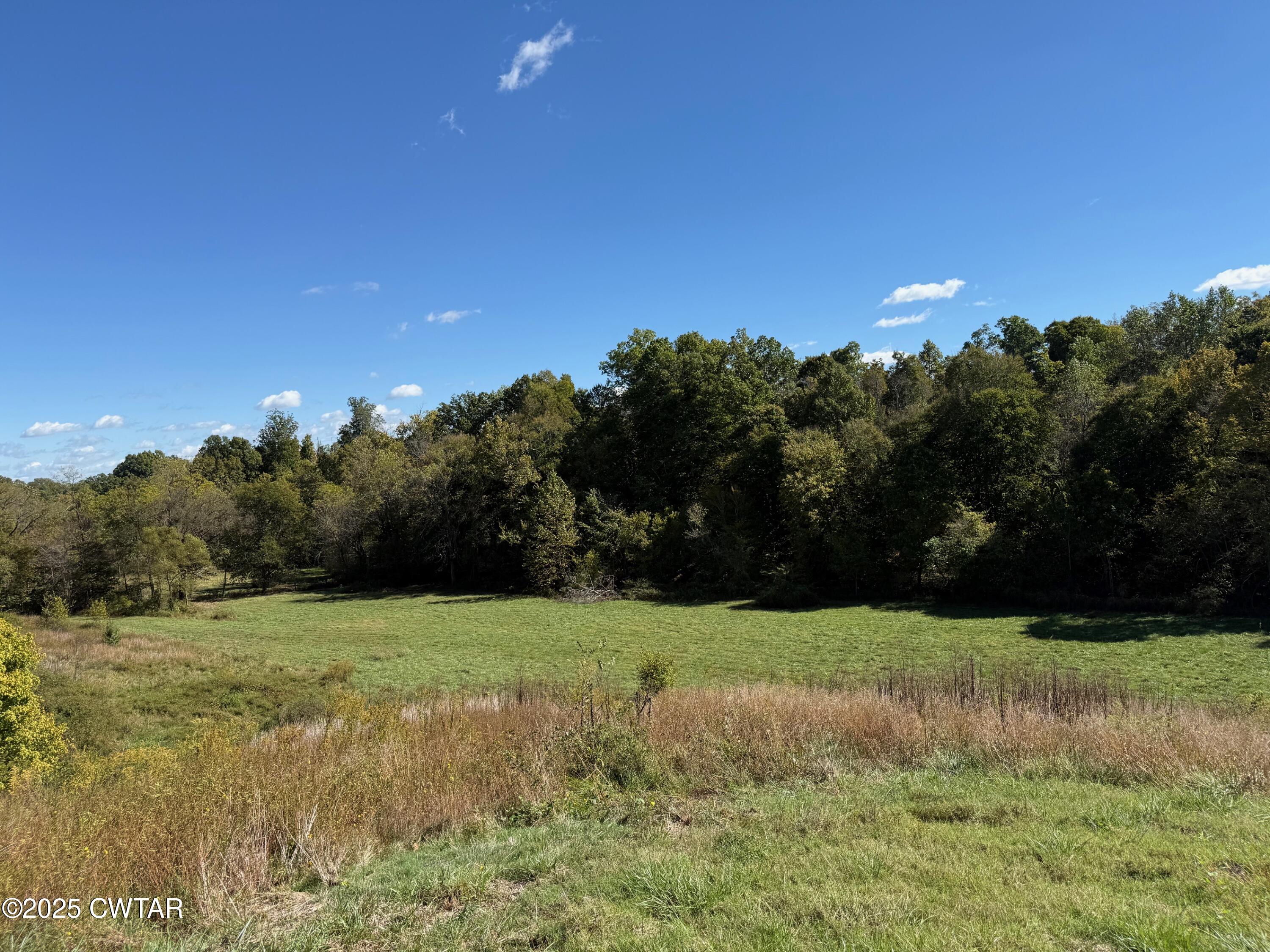 1380 Cleve Duke Road Hornbeak, TN 38232 - Photo 21 of 29 IMG_1879