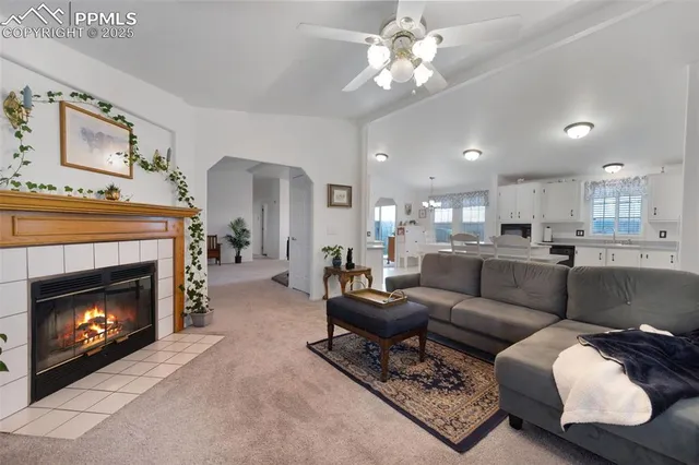 a living room with furniture and a fireplace