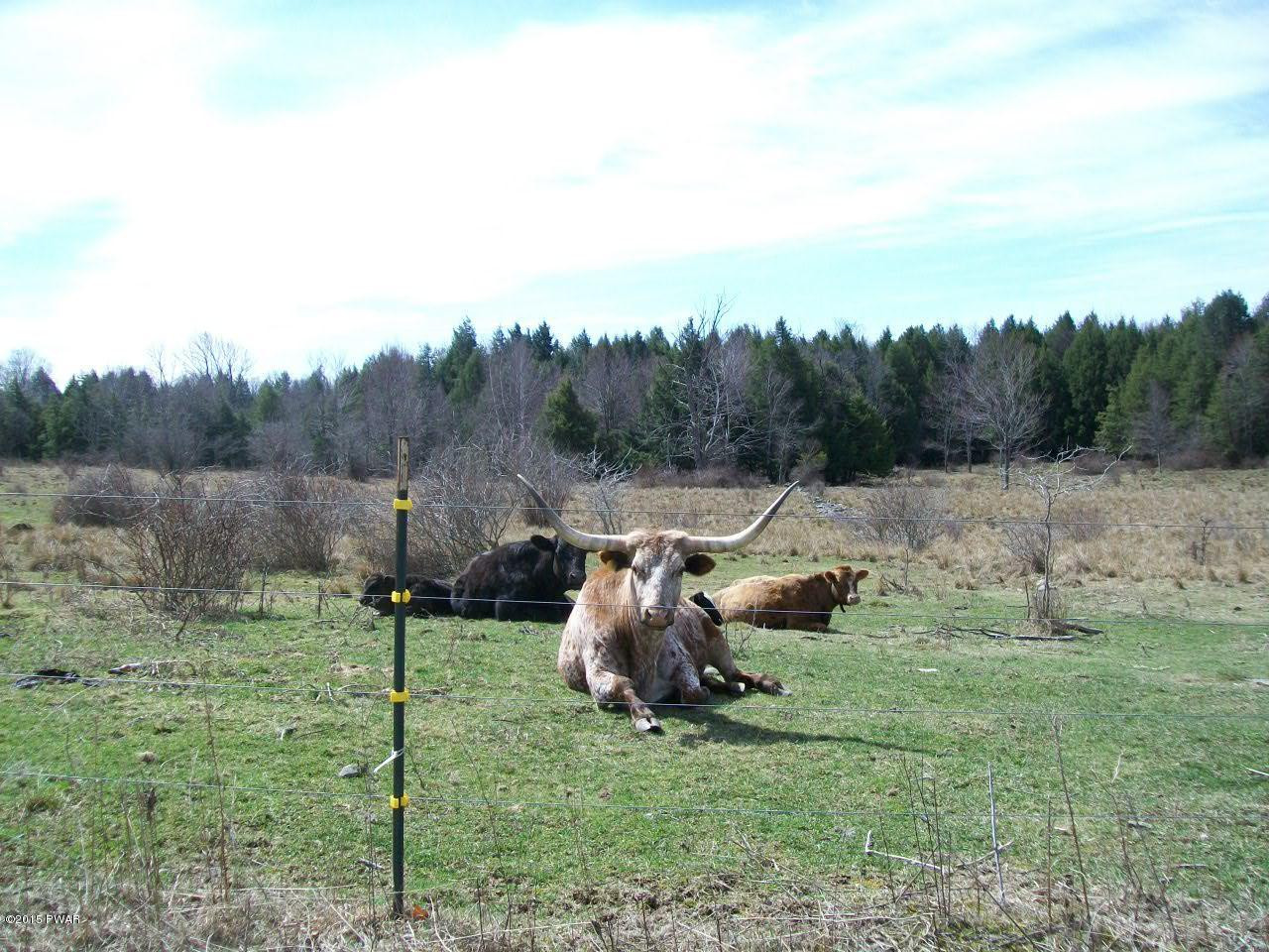 394 North Baker Road Waymart, PA 18472 - Photo 33 of 40