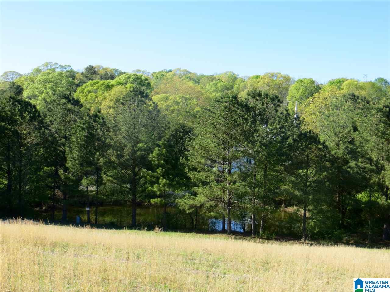 0 Eureka Road, Unit 7 Lincoln, AL 35096 - Photo 30 of 34