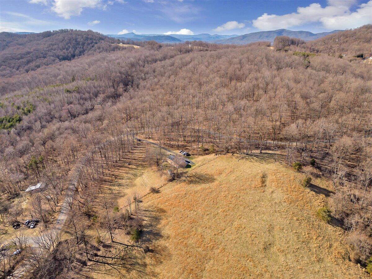 4889 Bore Auger Road Blue Ridge, VA 24064 - Photo 33 of 41 a view of ocean