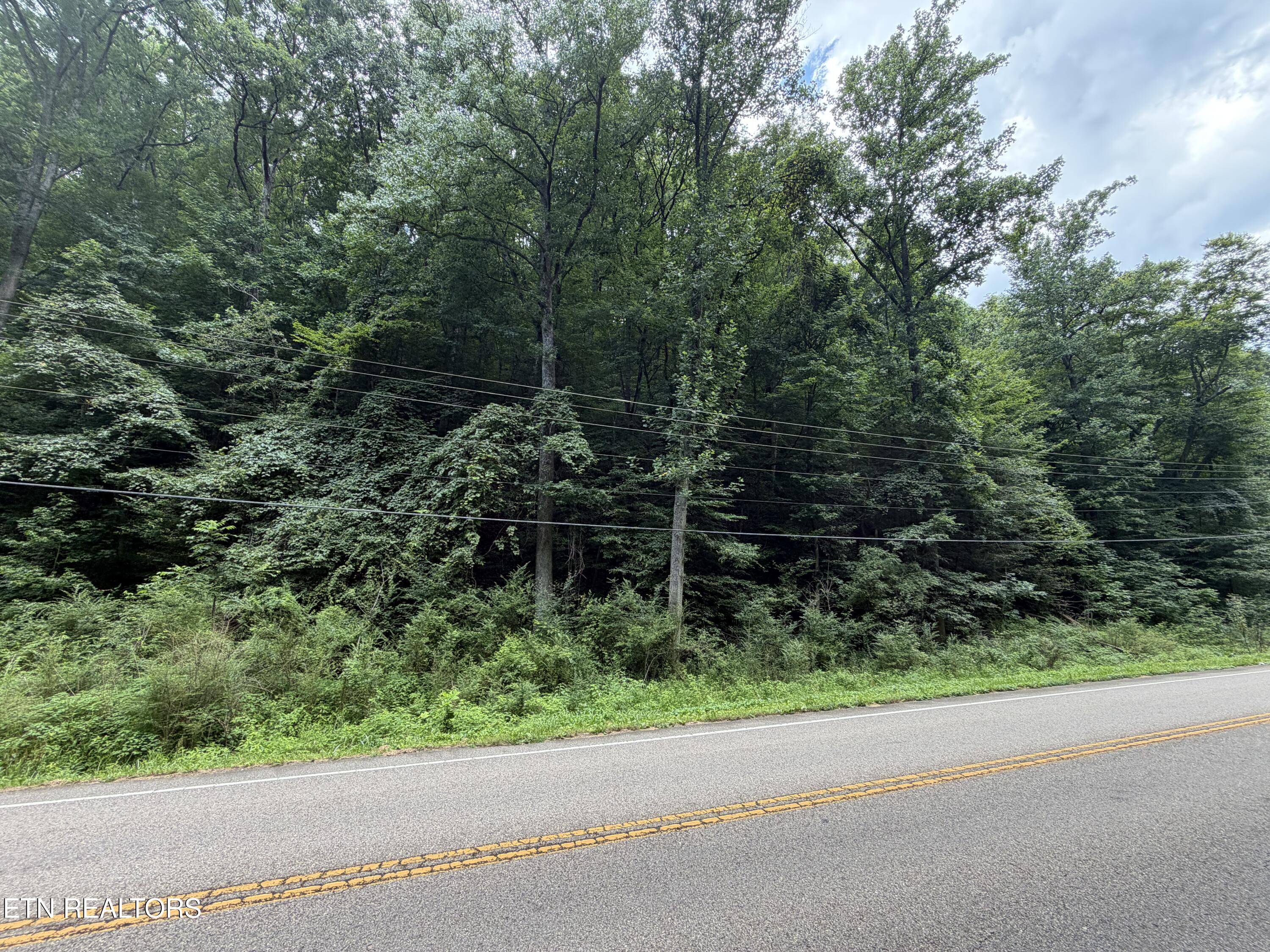 0 Ruritan Road, Unit 509 Harriman, TN 37748 - Photo 2 of 2 IMG_0558