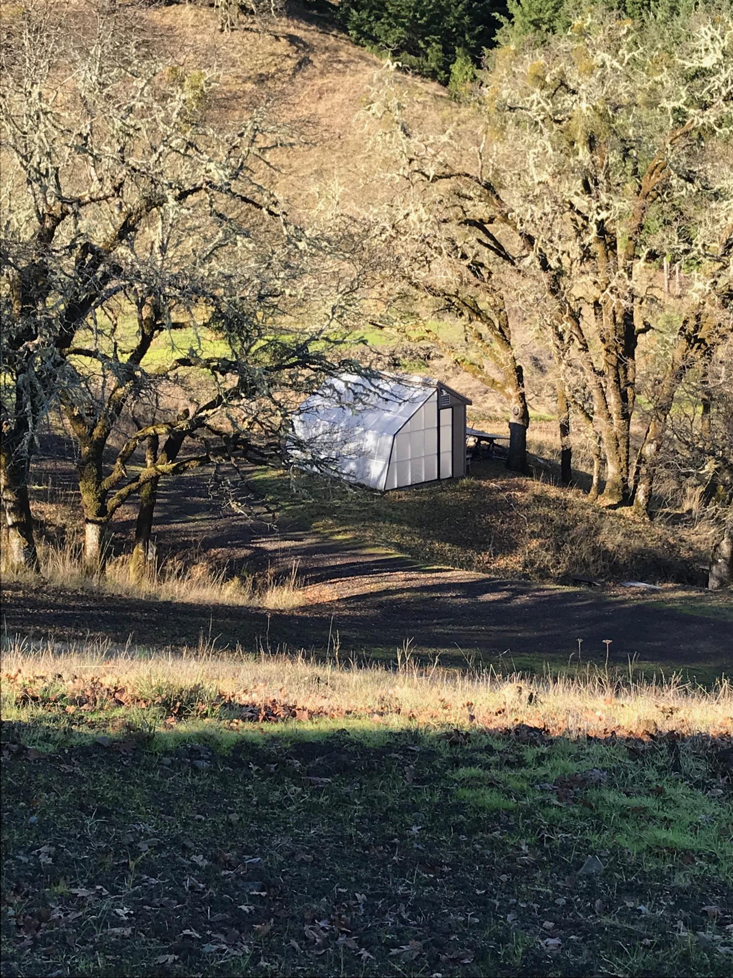 3848 Thomas Road Miranda, CA 95553 - Photo 77 of 77 Little Greenhouse
