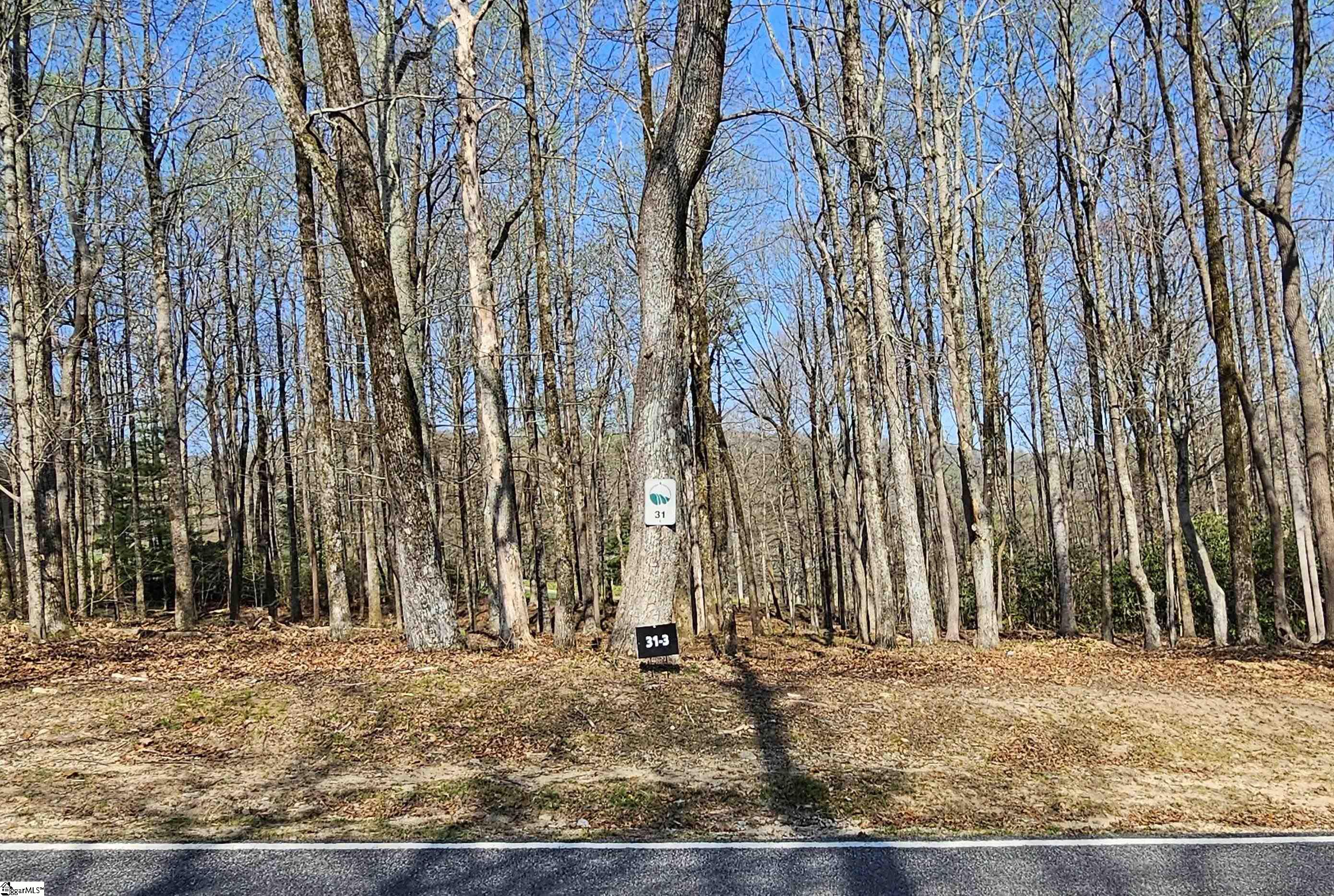 66 The Cliffs Parkway Landrum, SC 29356 - Photo 9 of 20