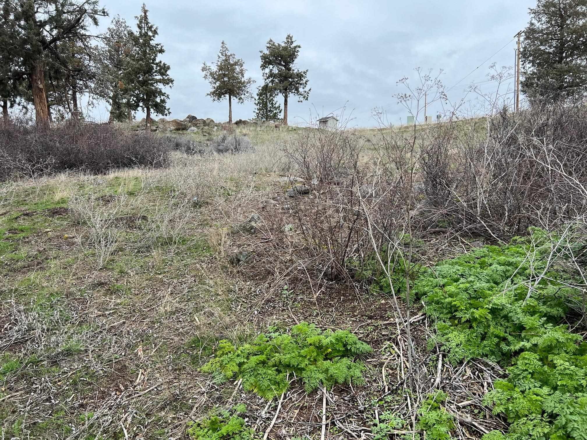 9-1 Lot 144 Brookside Road Weed, CA 96094 - Photo 10 of 48 Gallery Image 10