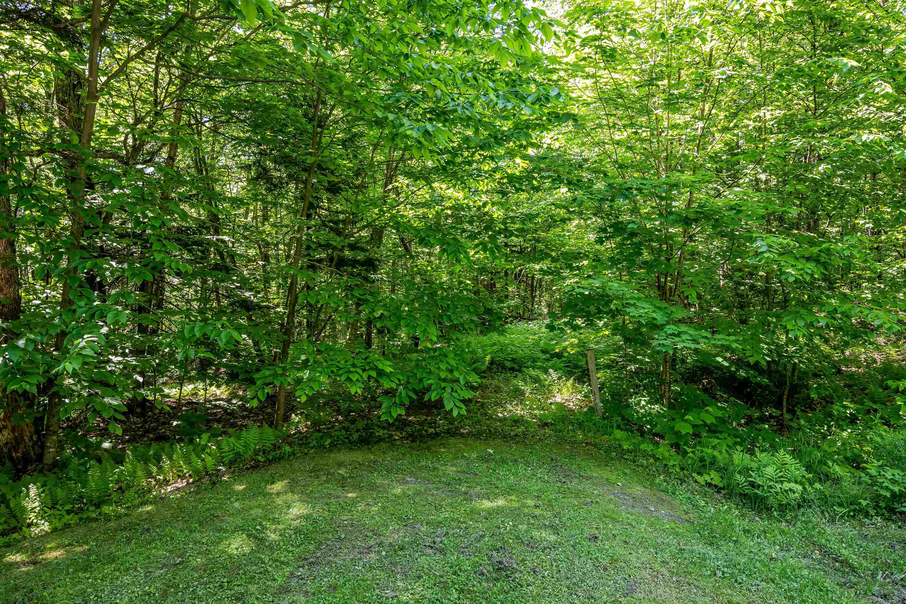 Tbd Wade Pasture Road, Unit LOT 90 Stowe, VT 05672 - Photo 3 of 5 Gallery Image 3