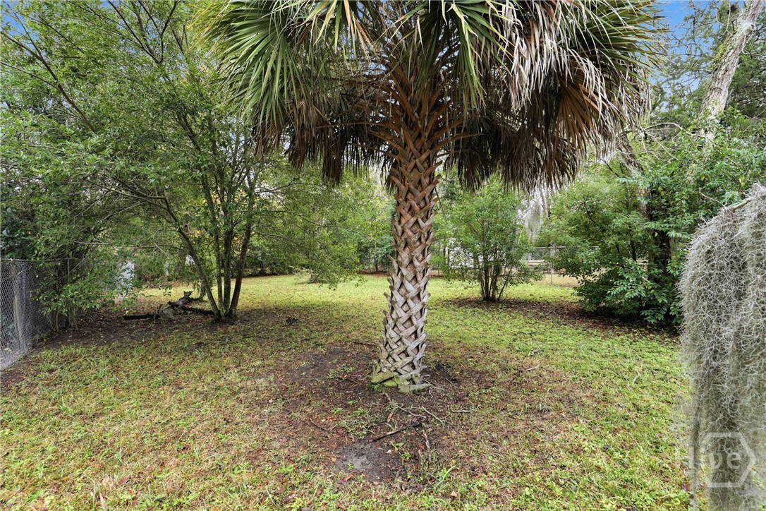 3214 Hazel Street Savannah, GA 31404 - Photo 22 of 23 backyard
