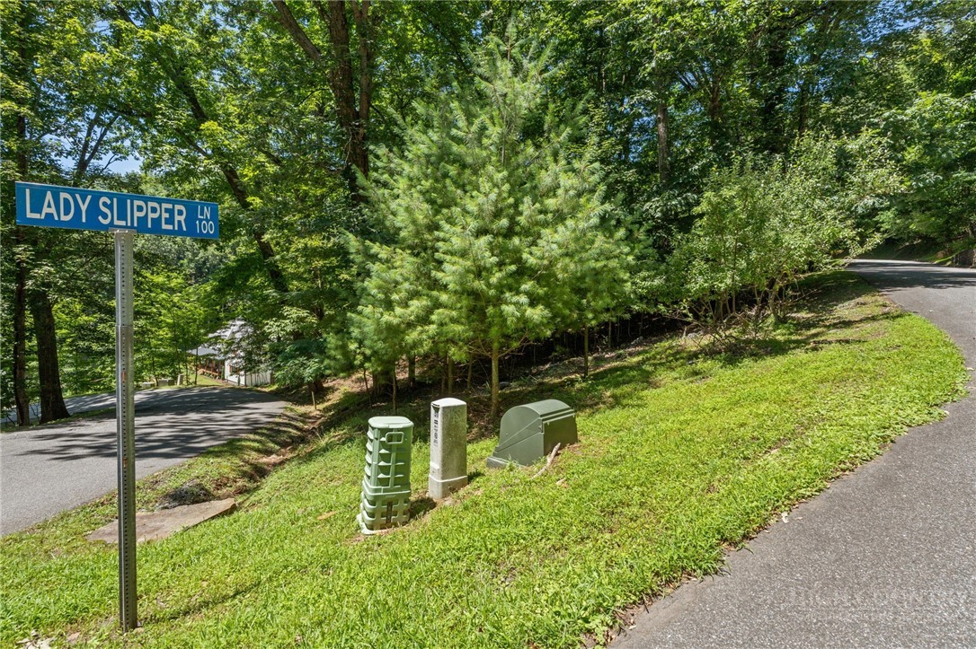 Lot 50 Fire Pink Road Boone, NC 28607 - Photo 8 of 15 Gallery Image 8