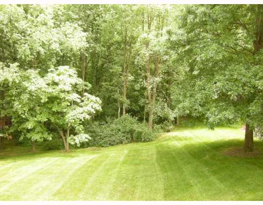 315 Blue Run Road Cheswick, PA 15024 - Photo 3 of 14 Yard/Garden. The park like backyard leads to nature trails surronding Walnut Woods.
