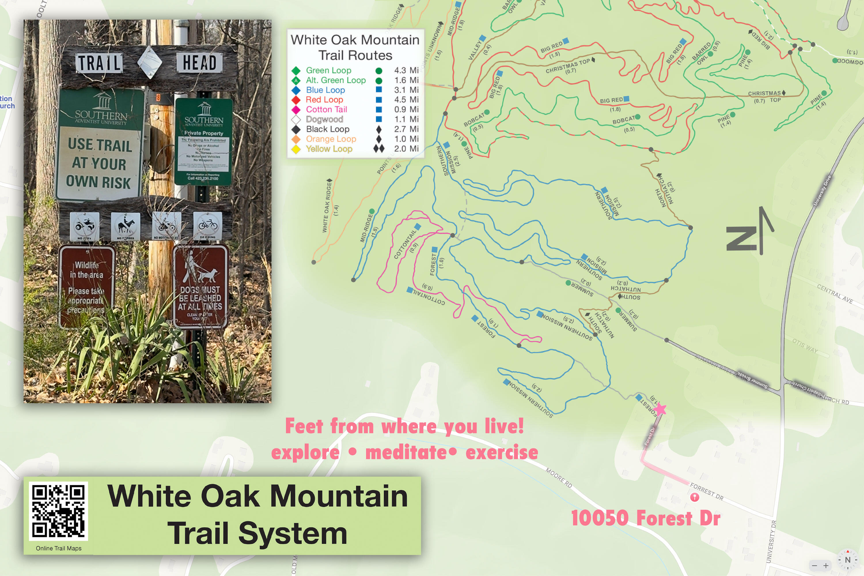 10050 Forrest Drive Ooltewah, TN 37363 - Photo 38 of 42 Walking/Hiking Trails