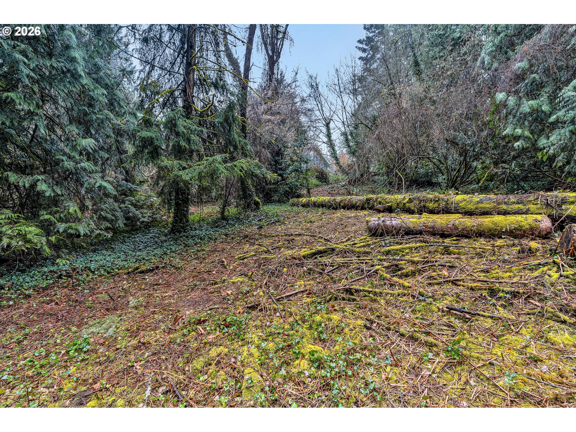 0 Ash Street Lake Oswego, OR 97034 - Photo 11 of 22 a view of a dry yard with trees