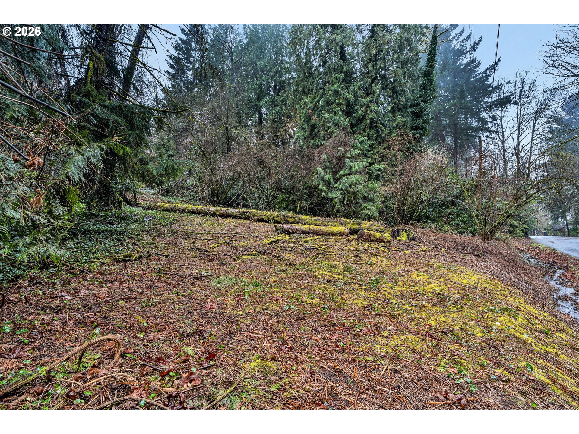 0 Ash Street Lake Oswego, OR 97034 - Photo 12 of 22 a view of a yard with a tree