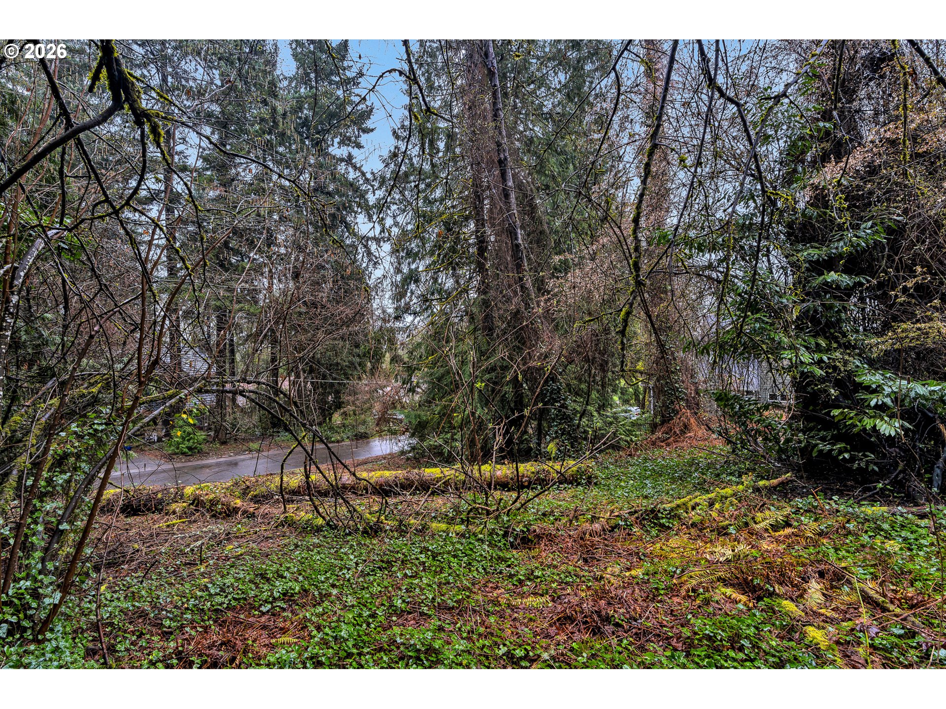 0 Ash Street Lake Oswego, OR 97034 - Photo 14 of 22 a backyard of a house with lots of green space