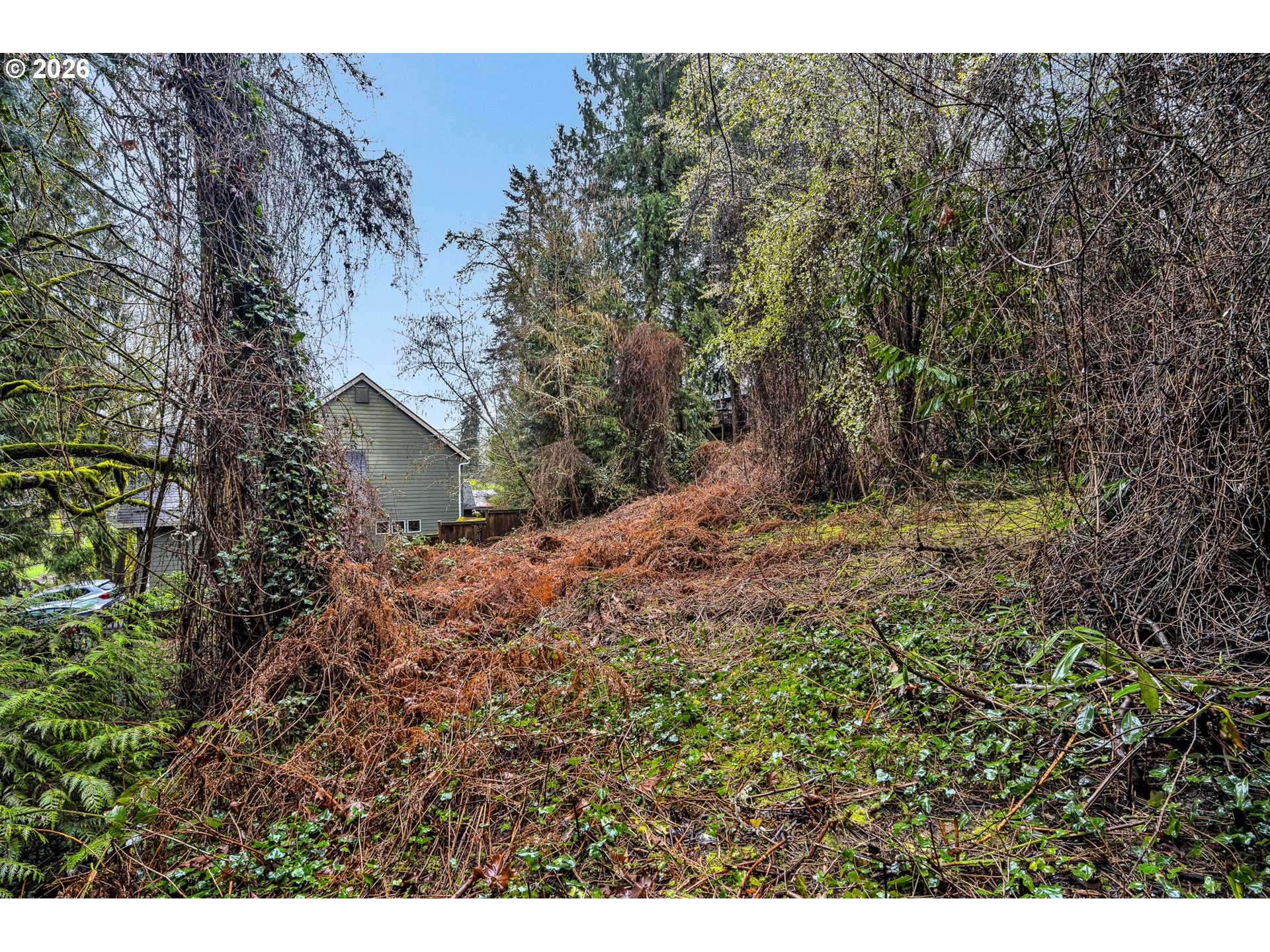 0 Ash Street Lake Oswego, OR 97034 - Photo 16 of 22 a view of a yard with plants and large trees
