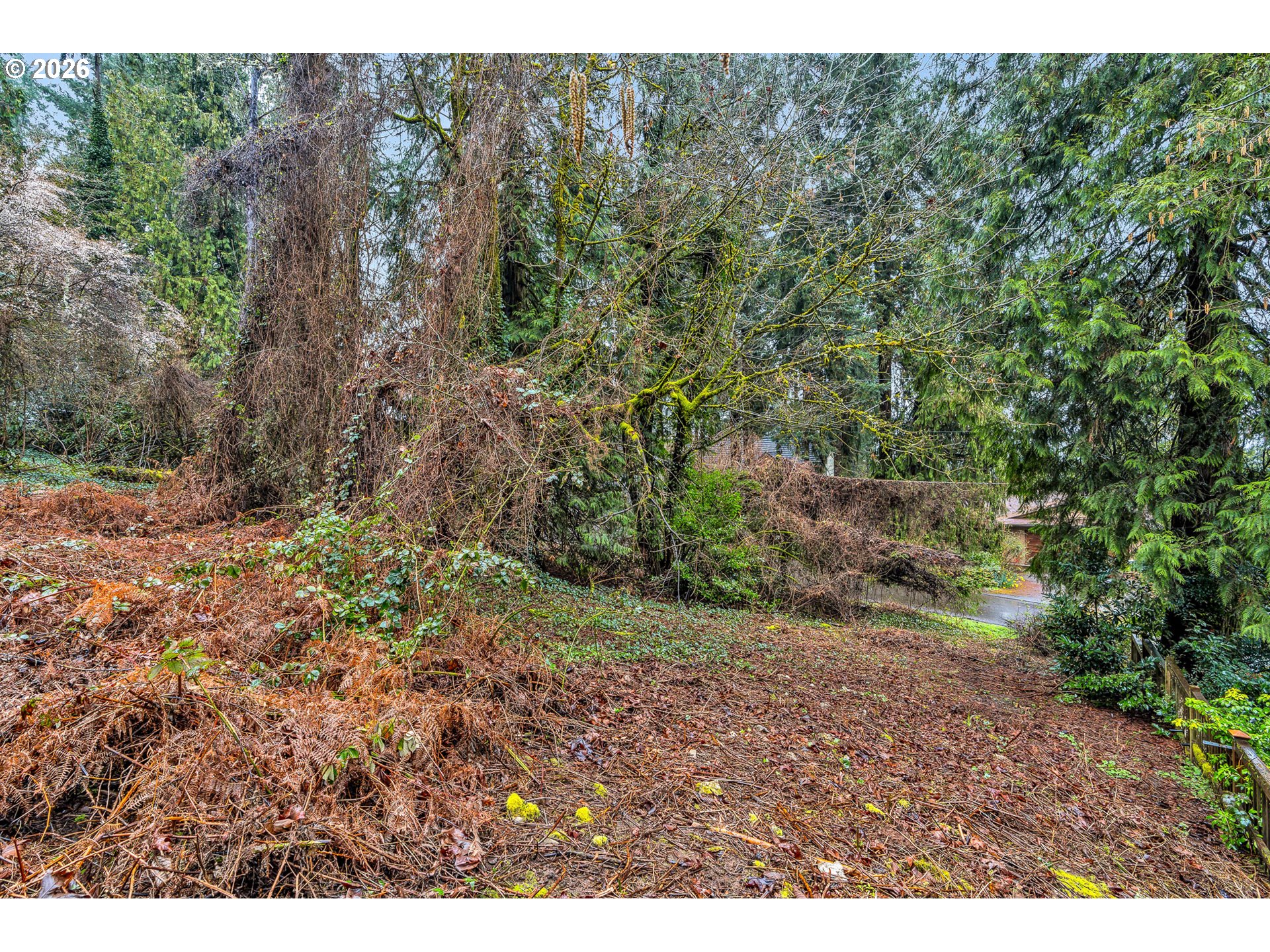 0 Ash Street Lake Oswego, OR 97034 - Photo 17 of 22 a view of a yard with a tree