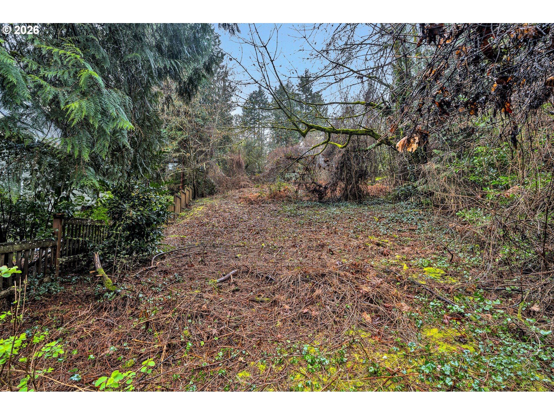 0 Ash Street Lake Oswego, OR 97034 - Photo 18 of 22 a view of a yard with a tree