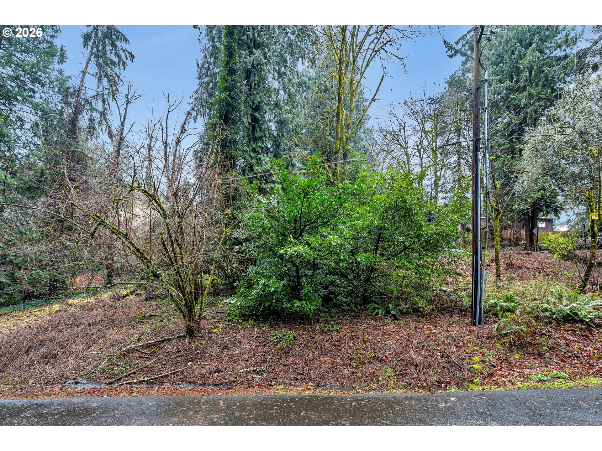 0 Ash Street Lake Oswego, OR 97034 - Photo 6 of 22 a view of a backyard