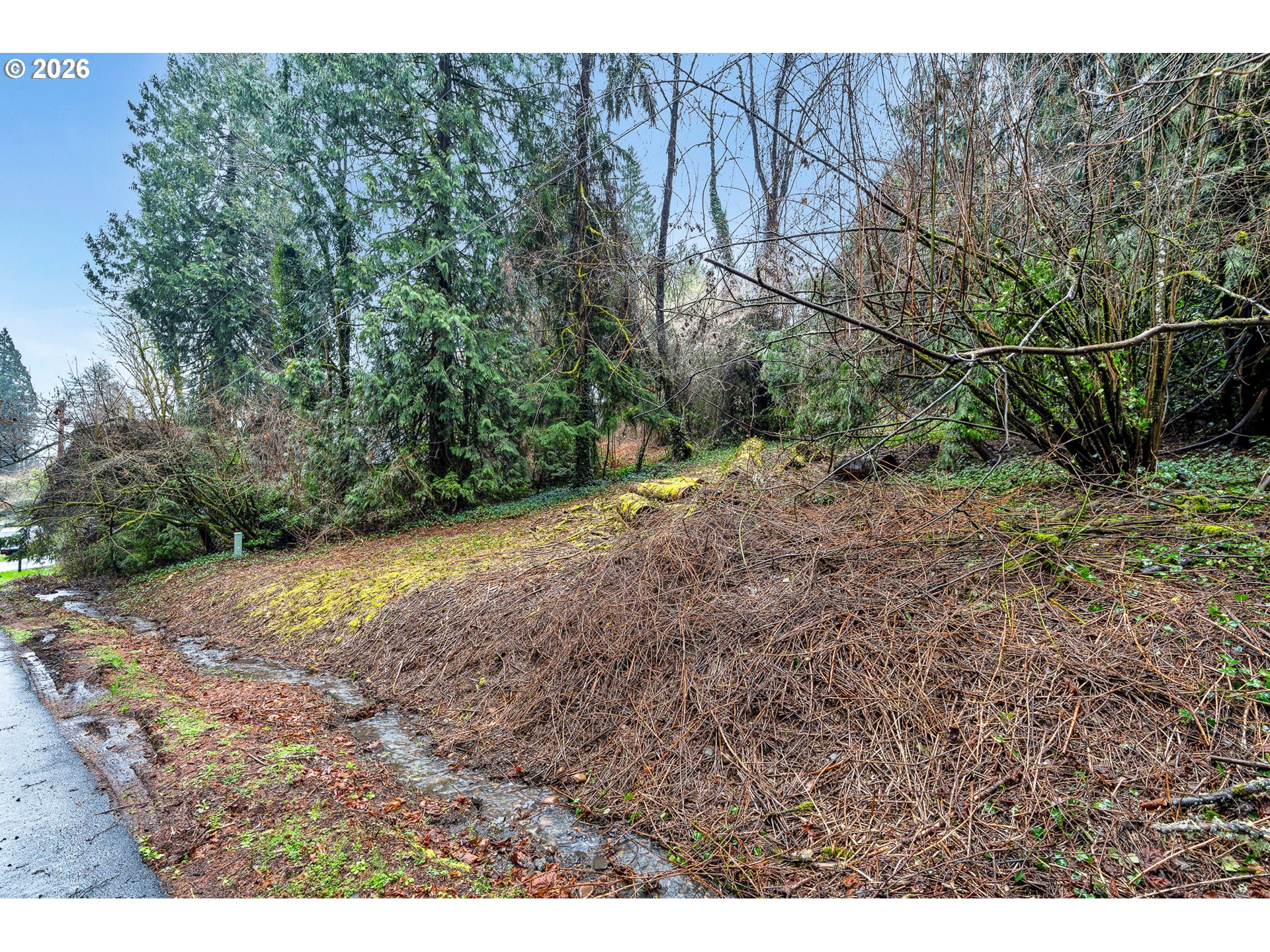 0 Ash Street Lake Oswego, OR 97034 - Photo 7 of 22 a view of a yard with large trees