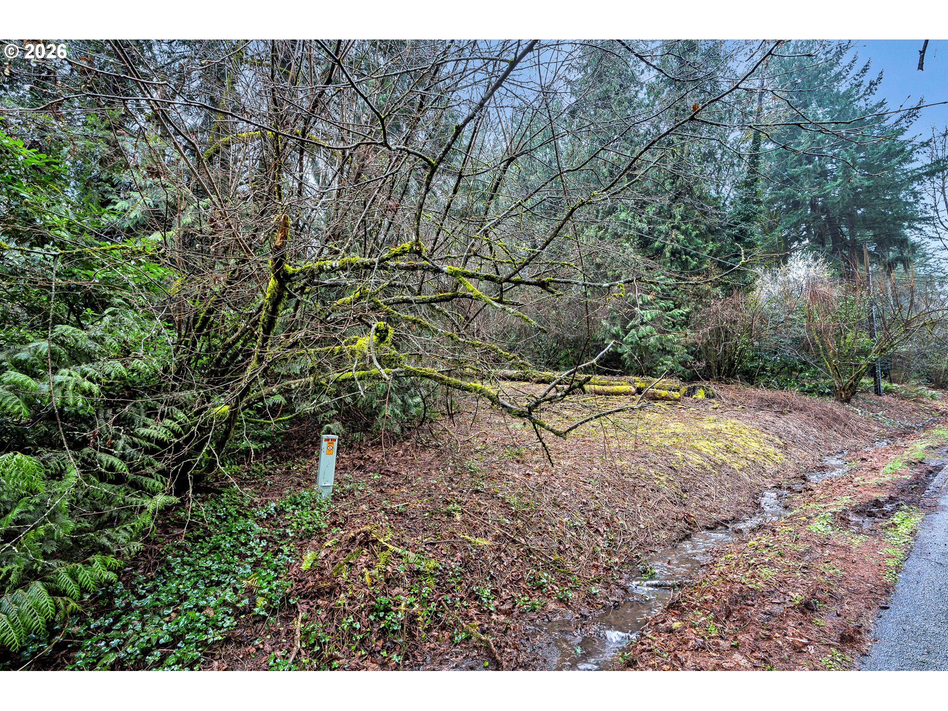 0 Ash Street Lake Oswego, OR 97034 - Photo 8 of 22 a backyard of a house with lots of green space