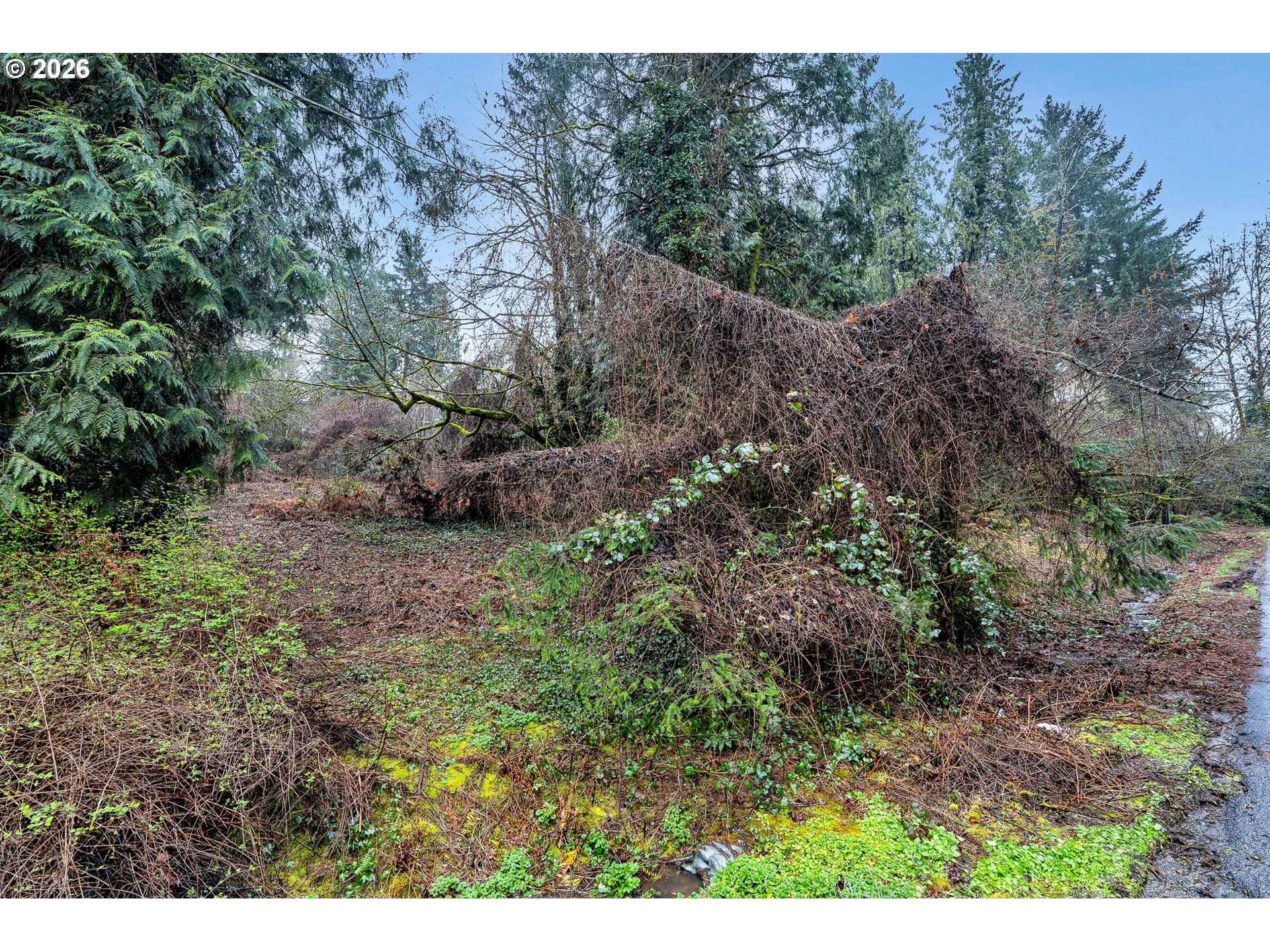 0 Ash Street Lake Oswego, OR 97034 - Photo 9 of 22 a view of a yard
