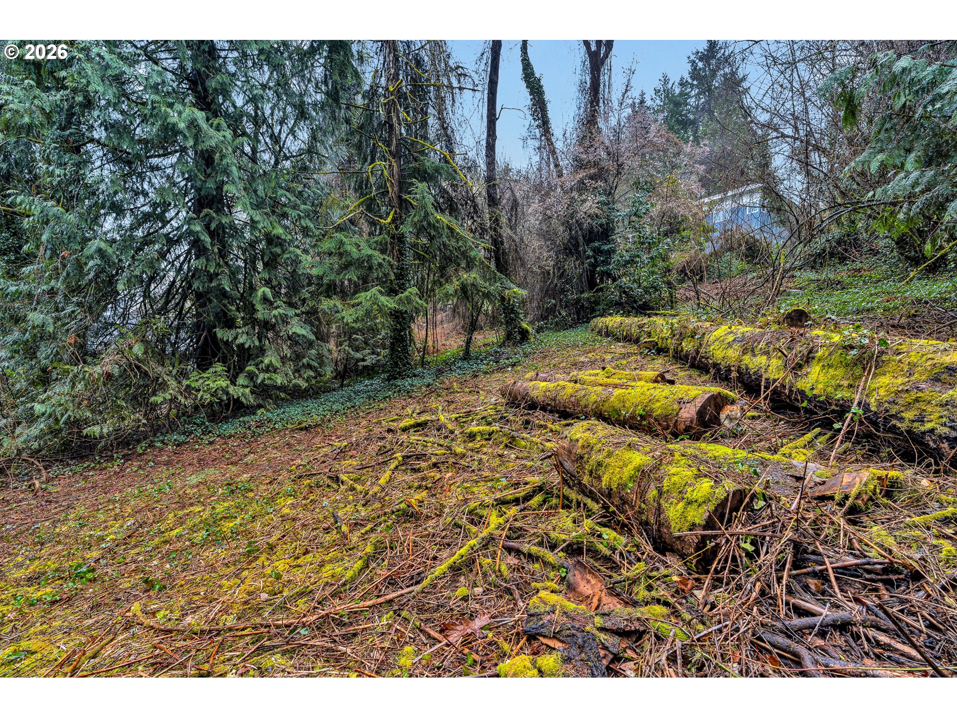 0 Ash Street Lake Oswego, OR 97034 - Photo 10 of 22 a view of outdoor space and yard