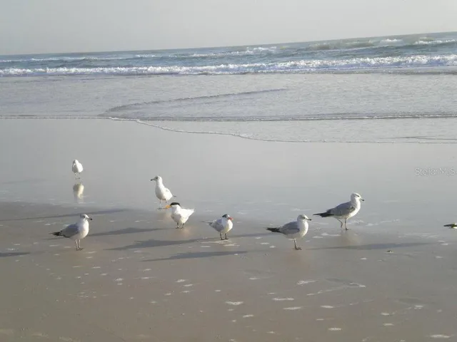 $750,000 | 2815 Bay Side Drive, New Smyrna Beach, FL 32168